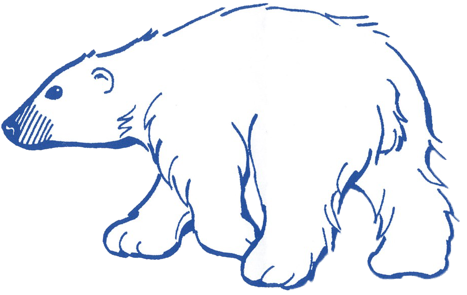 Eisbären Reckendorf